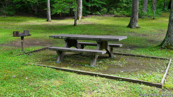 Picnic table at the Fort Necessity National Battlefield Picnic Area