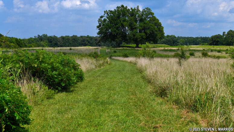 Grass path to Fort Gregg at Petersburg National Battlefield
