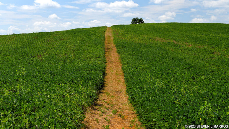Bloody Lane Trail follows in the footsteps of the Union attack at Bloody Lane, Antietam National Battlefield