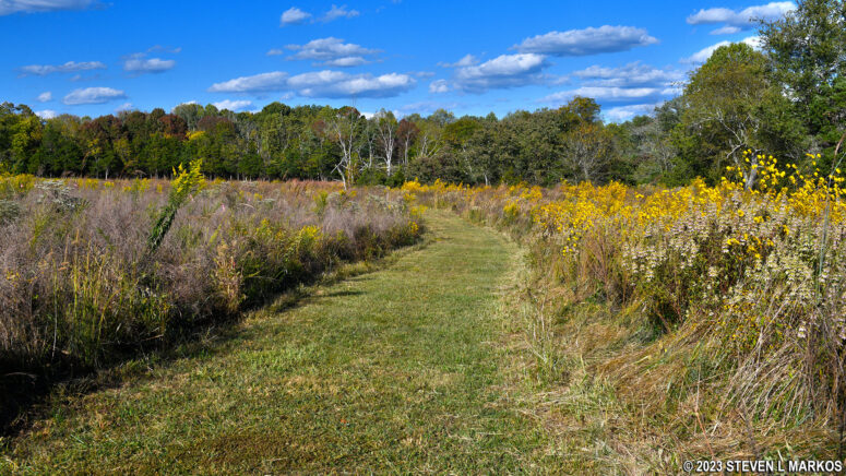 West side of the Tibbs Trail passes through a field, Appomattox Court House National Historical Park