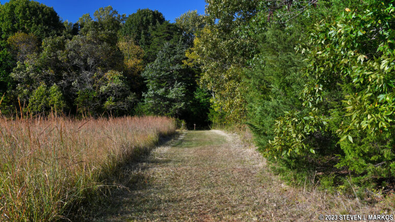 Tibbs Trail runs between a field and the forest at its northwest corner, Appomattox Court House National Historical Park
