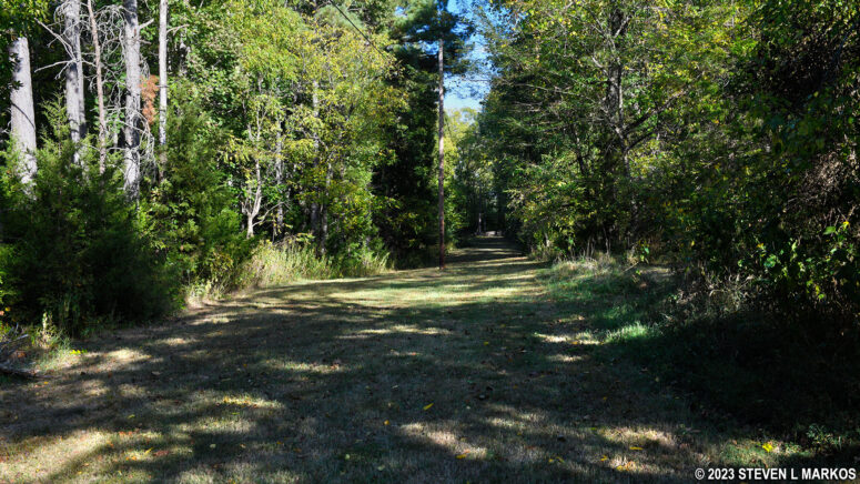 Forested section of the Tibbs Trail at its northwest corner, Appomattox Court House National Historical Park