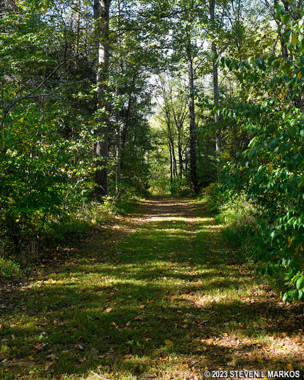 Wooded section of the Sweeney Trail at Appomattox Court House National Historical Park