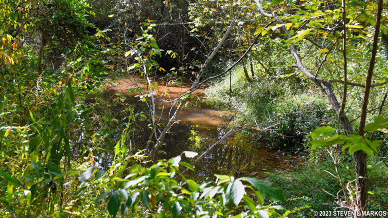Largely obscured view of the Appomattox River from the Ferguson Wildlife Trail at Appomattox Court House National Historical Park