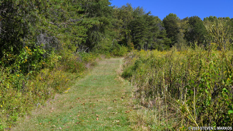 Typical terrain on the Ferguson Wildlife Trail at Appomattox Court House National Historical Park