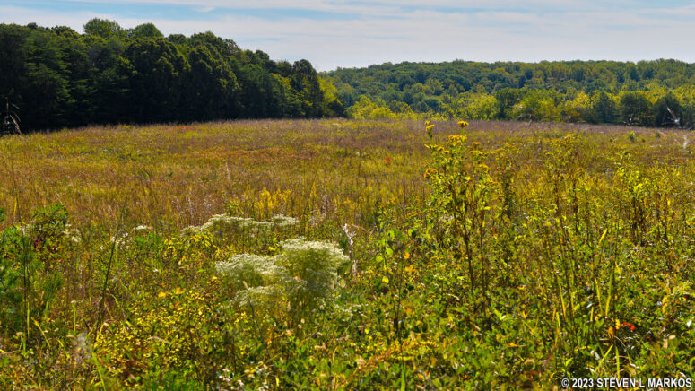 The Ferguson Wildlife Trail at Appomattox Court House National Historical Park circles a meadow