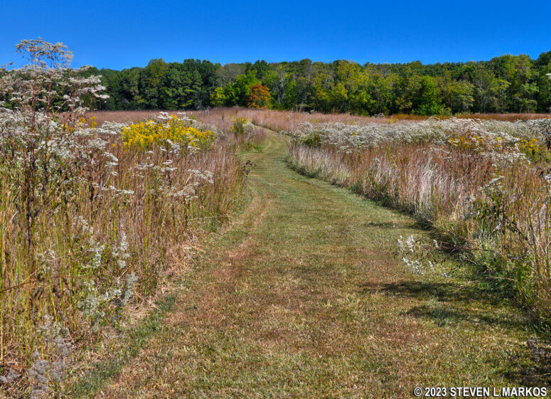North end of the Conner-Sweeney Cabin Trail passes through a meadow, Appomattox Court House National Historical Park