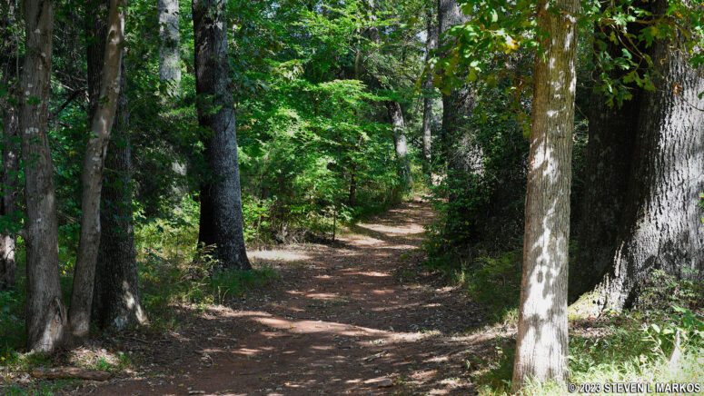 Forested section of the Conner-Sweeney Cabin Trail at Appomattox Court House National Historical Park