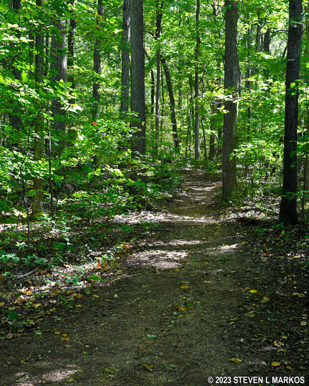 Typical terrain on the Lee's Headquarters Trail at Appomattox Court House National Historical Park