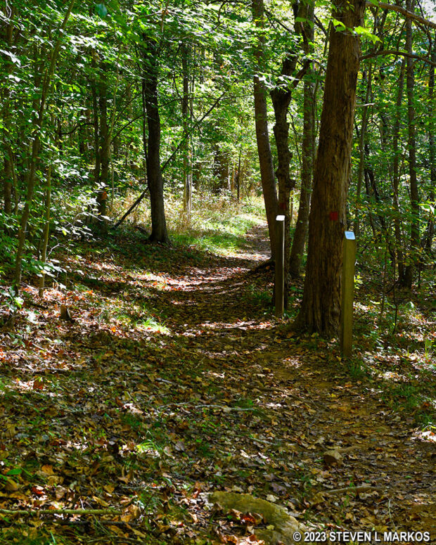 Typical terrain on the southwestern side of the Tobacco Prizery Nature Trail loop, Appomattox Court House National Historical Park