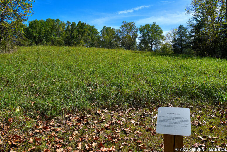 Meadow at the southern end of the Tobacco Prizery Nature Trail at Appomattox Court House National Historical Park