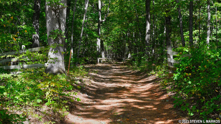 Forested section on the northeast end of the Tobacco Prizery Nature Trail at Appomattox Court House National Historical Park