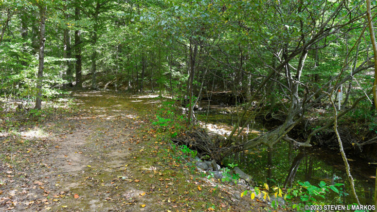 Southside Connector Trail follows Plain Run at its southern end, Appomattox Court House National Historical Park