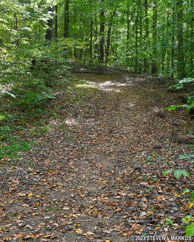 Hilly terrain at the southern end of the Southside Connector Trail at Appomattox Court House National Historical Park