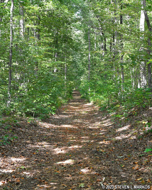 Typical terrain at the southern end of the Southside Connector Trail at Appomattox Court House National Historical Park