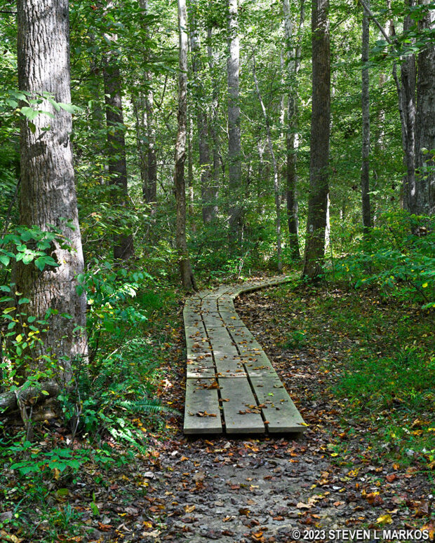 Boardwalk segment on the north end of the Southside Connector Trail at Appomattox Court House National Historical Park