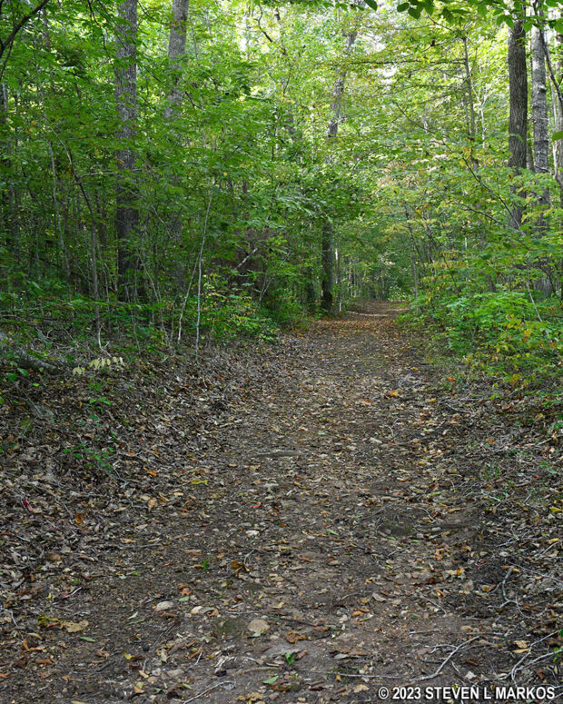 Typical terrain on the east side of Grant's Approach Trail at Appomattox Court House National Historical Park