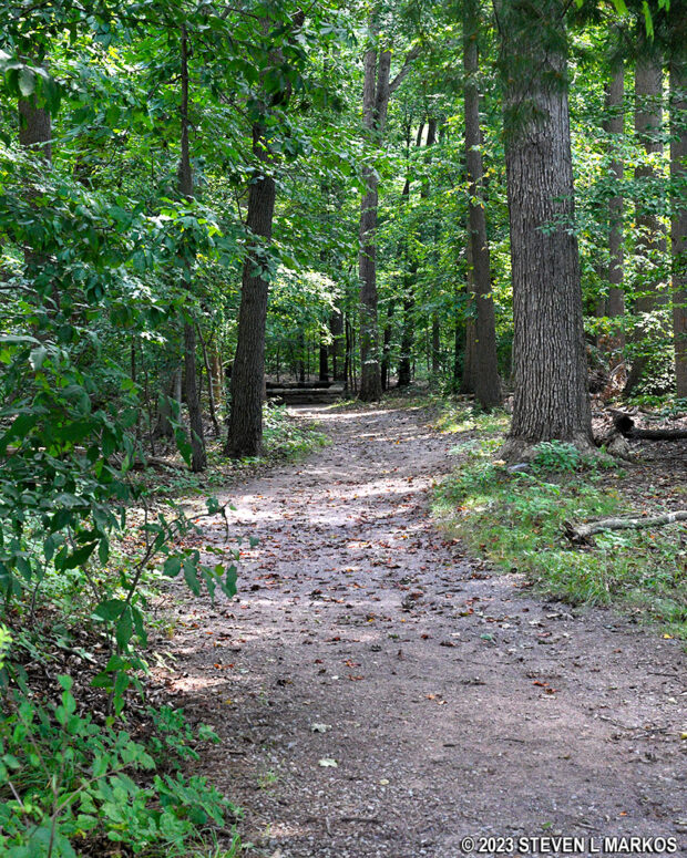 Wide path through the forest leads to Sophia Allegre's grave at Friendship Hill National Historic Site