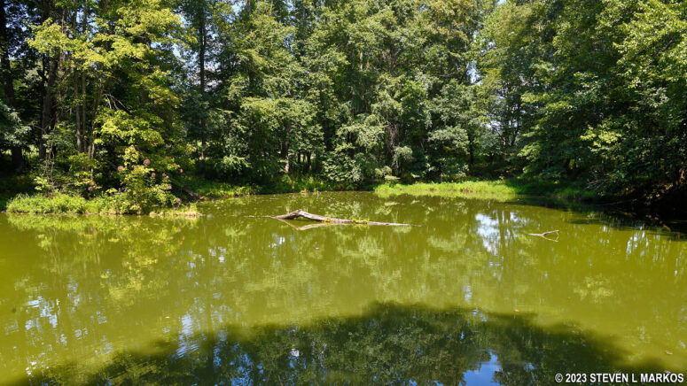 Pond near Sophia Allegre's grave at Friendship Hill National Historic Site