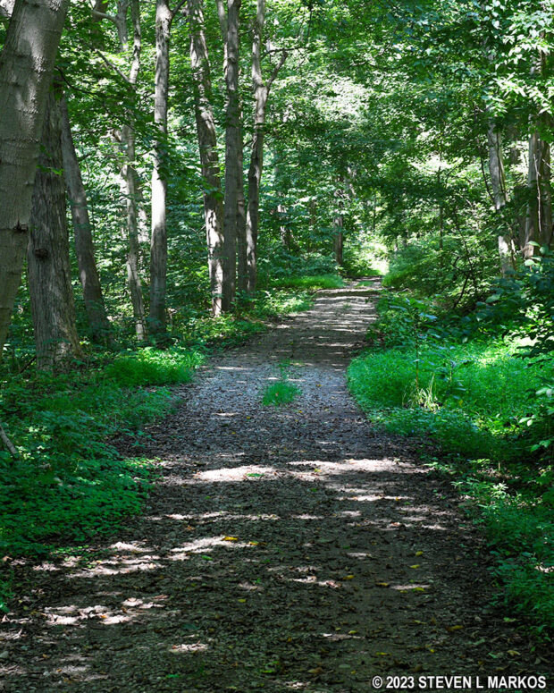Typical terrain of the Main Loop Trail along the Monongahela River, Friendship Hill National Historic Site
