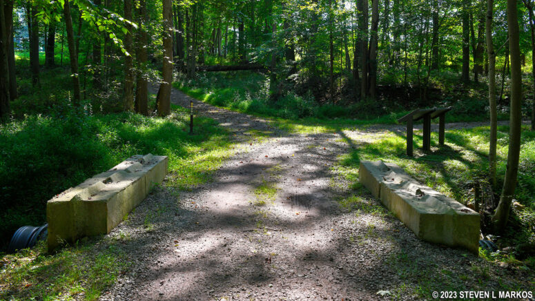 Fork in the Main Loop Trail near the Trailhead Loop Trail parking lot