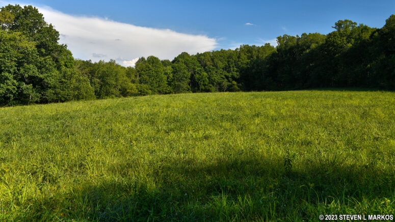 Meadow encircled by the Trailhead Loop Trail at Friendship Hill National Historic Site
