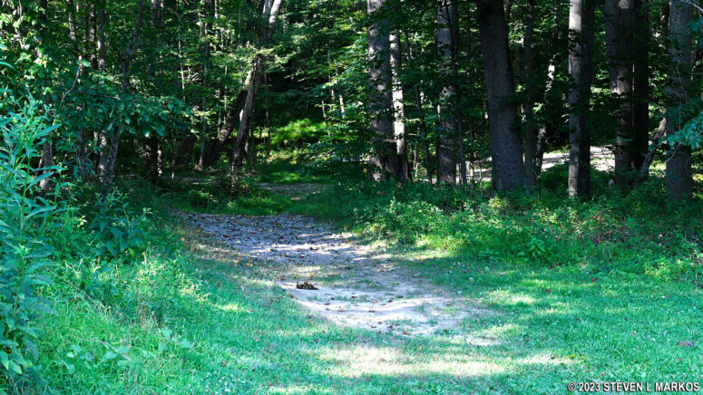 Connector from the Trailhead Loop Trail to the Main Loop Trail at Friendship Hill National Historic Site
