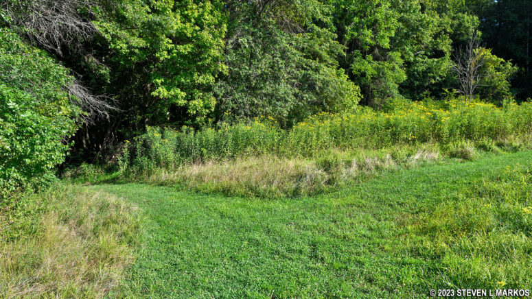 Fork in the Trailhead Loop Trail at the southeast end of the meadow leads to Ice Pond Run, Friendship Hill National Historic Site