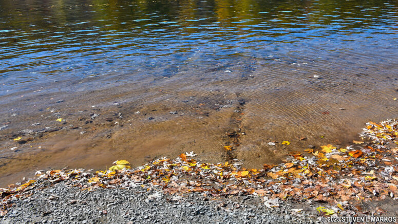 Boat trailer tracks in the water at the Ten Mile River Canoe Launch, Upper Delaware Scenic and Recreational River