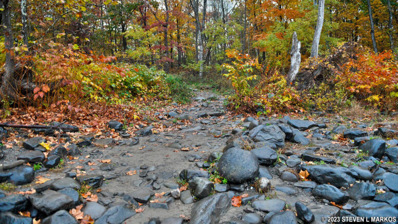 View of the Mongaup Canoe Launch from the water, Upper Delaware Scenic and Recreational River