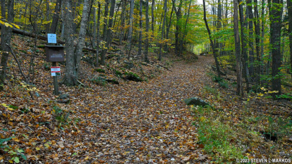 Bouchoux Trail near Lordville, New York