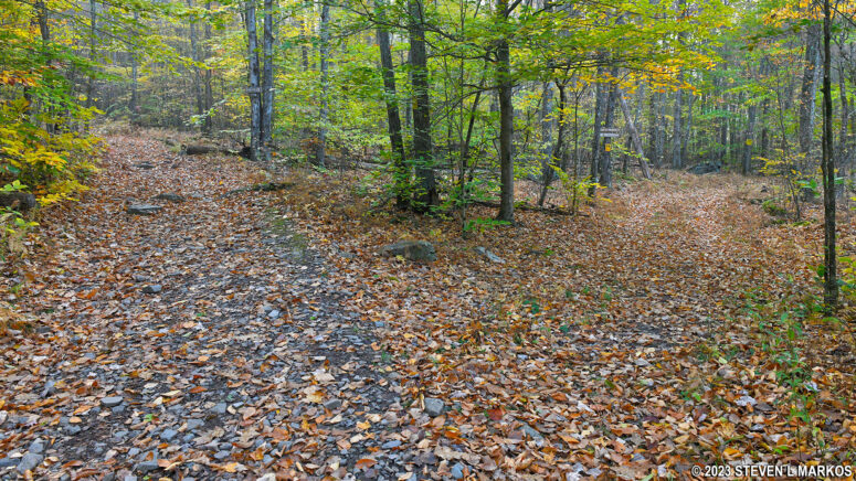 Fork near the start of the Bouchoux Trail near Lordville, New York