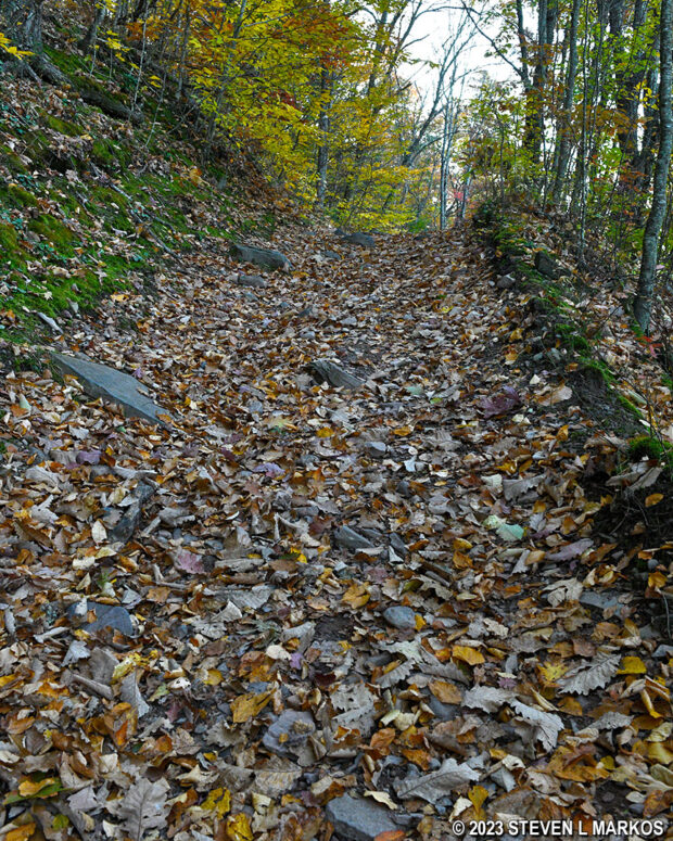 Steep terrain of the Bouchoux Trail near Lordville, New York