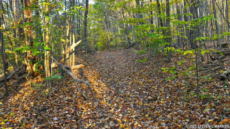 The Bouchoux Trail levels out after three quarters of a mile