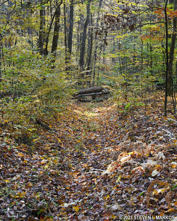 Bouchoux Trail beyond Jensen's Ledges is not maintained well