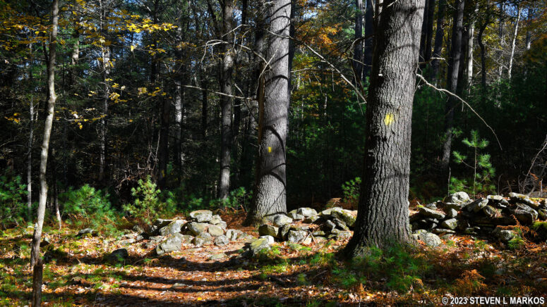 Old stone wall on the Damascus Forest Trail in Beach Lake, Pennsylvania