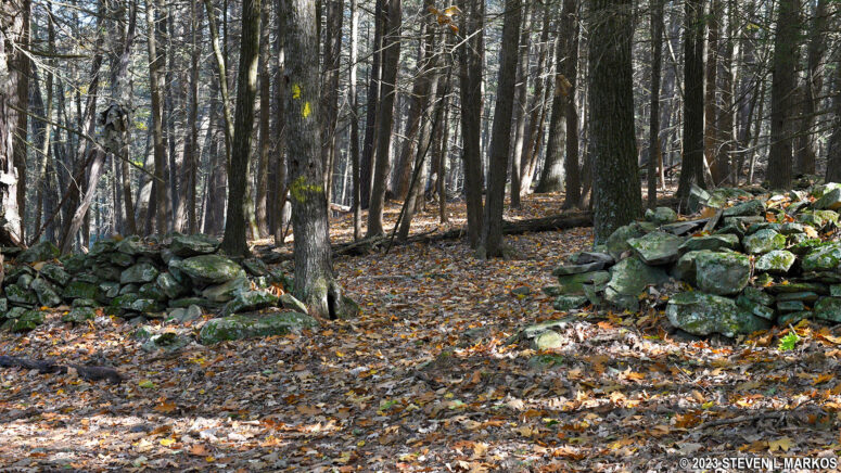 Old stone wall on the Damascus Forest Trail in Beach Lake, Pennsylvania