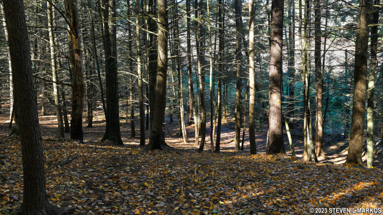 Short-but-steep hill on the Damascus Forest Trail in Beach Lake, Pennsylvania