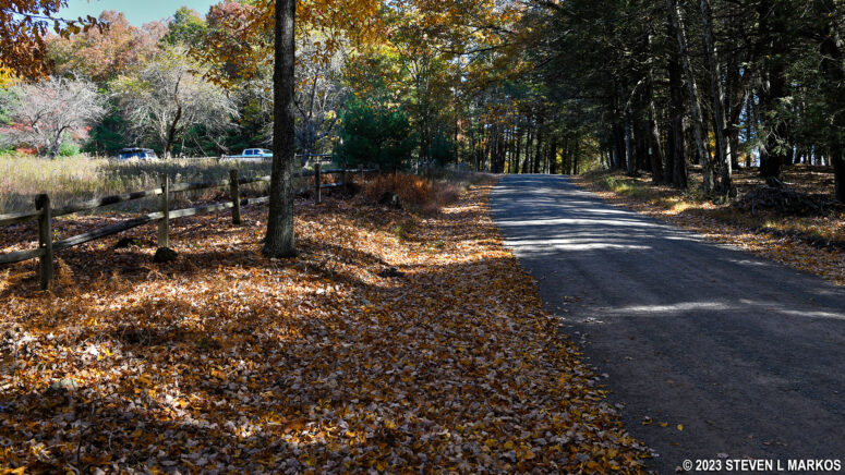 The Damascus Forest Trail ends at MacCubbins Road in Beach Lake, Pennsylvania