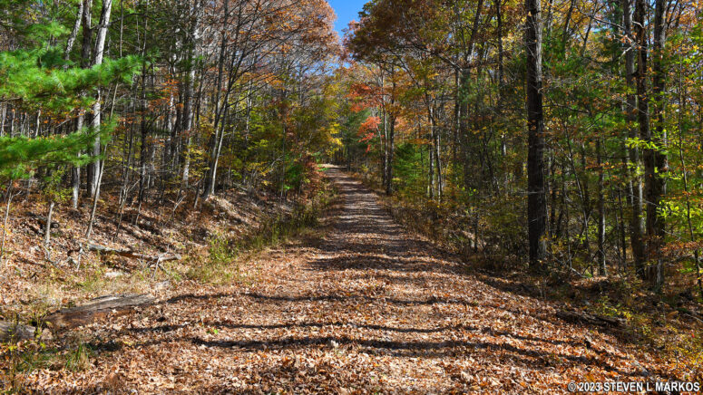 Dirt road portion of the Cobey Pond Trail from the parking lot to the pond