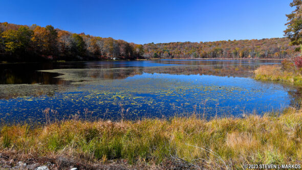 Cobey Pond in Masthope, Pennsylvania