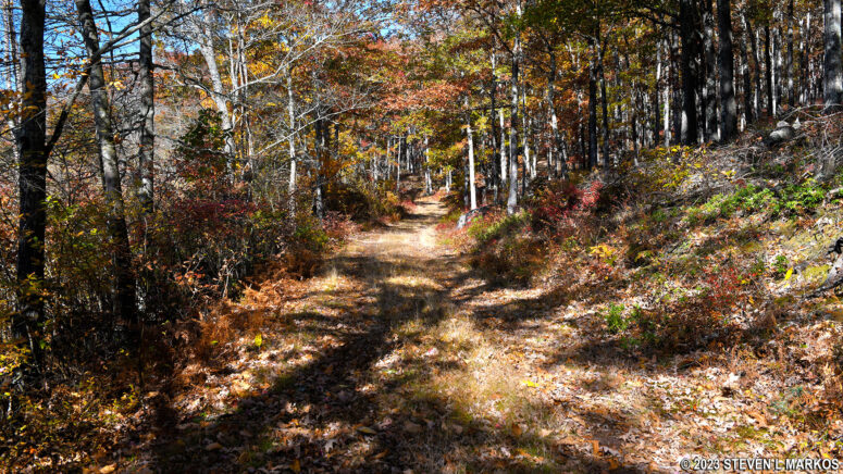 Cobey Pond Trail along the eastern shore of the pond