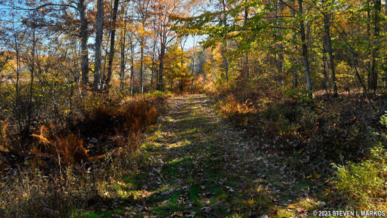 Cobey Pond Trail on the west side of the pond