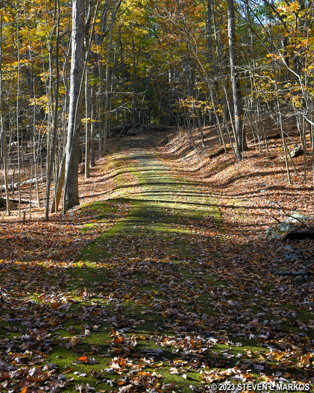 Terrain at the start of the Battleground Trail at Minisink Battleground Park in Barryville, New York