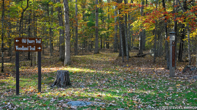 Start of the Woodland Trail at Minisink Battleground Park in Barryville, New York
