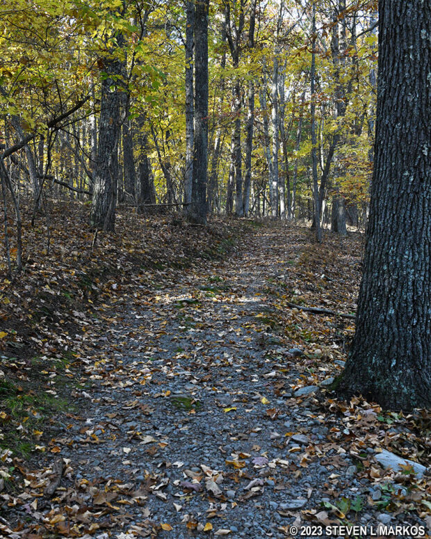 Typical terrain of the Woodland Trail at Minisink Battleground Park in Barryville, New York