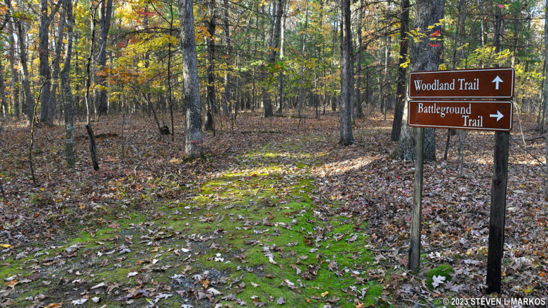 Typical terrain of the Woodland Trail at Minisink Battleground Park in Barryville, New York