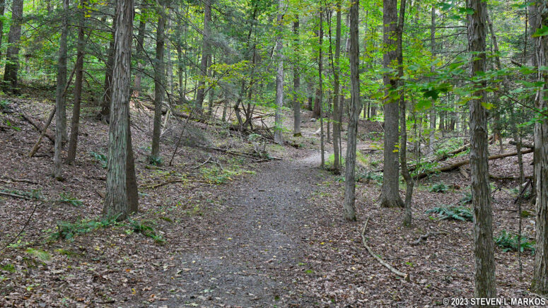 Typical terrain on the first mile of the Milford Knob Trail in Delaware Water Gap National Recreation Area