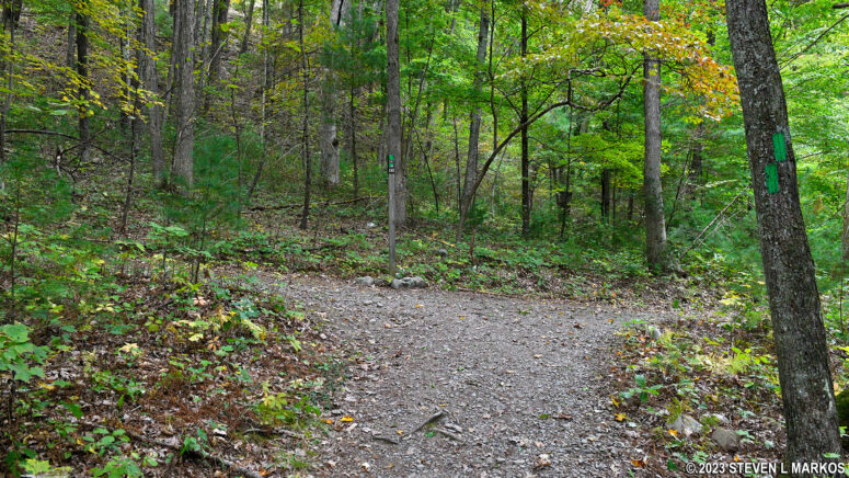 Intersection of the Milford Knob and Quarry Path trails in the Cliff Park section of Delaware Water Gap National Recreation Area