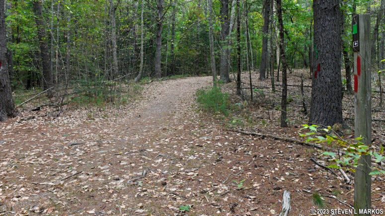 Milford Knob Trail at the intersection with the Sawkill Glen Trail, Delaware Water Gap National Recreation Area